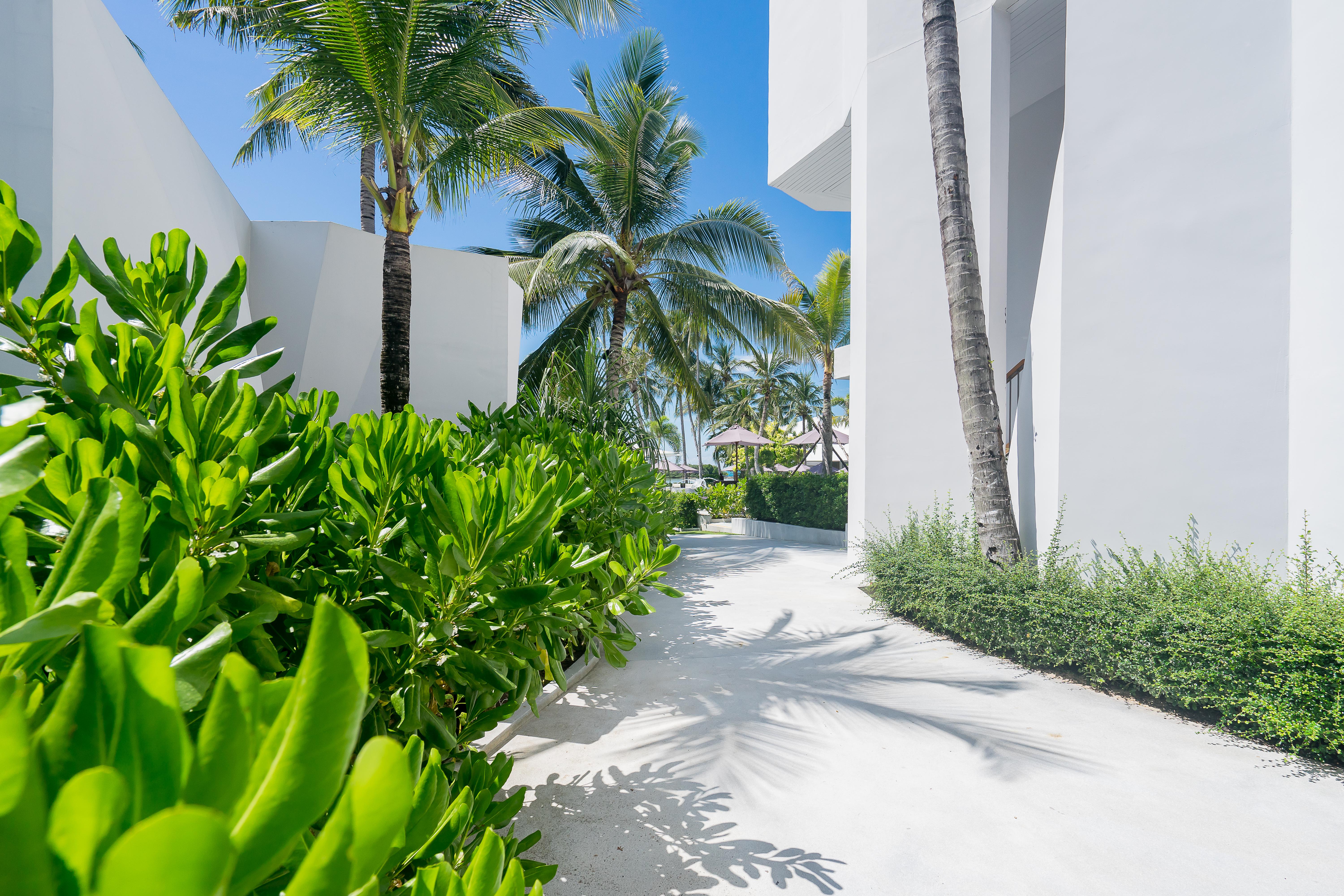 Hotel La Vida Samui Chaweng  Zewnętrze zdjęcie